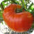 Рассада Томат Гигантисика № 186 сорт с самыми крупными плодами средний, индетерминантный, красный, р7