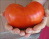 Рассада Томат Гигантисика № 186 сорт с самыми крупными плодами средний, индетерминантный, красный, р7